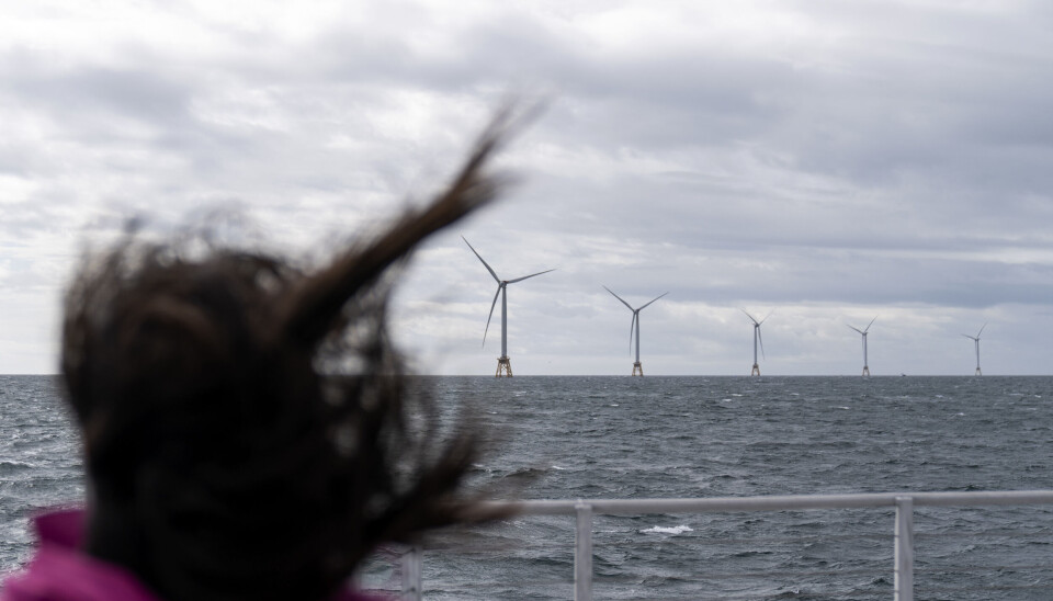 Mörkt hår som blåser framför vindkraftverk till havs