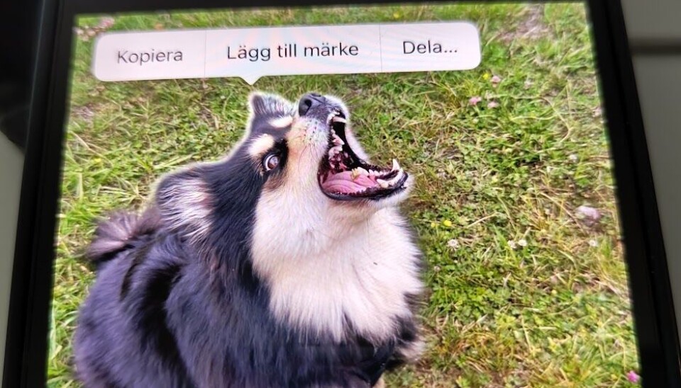 Det är enkelt att frilägga en bild... Det är enkelt att frilägga en bild...