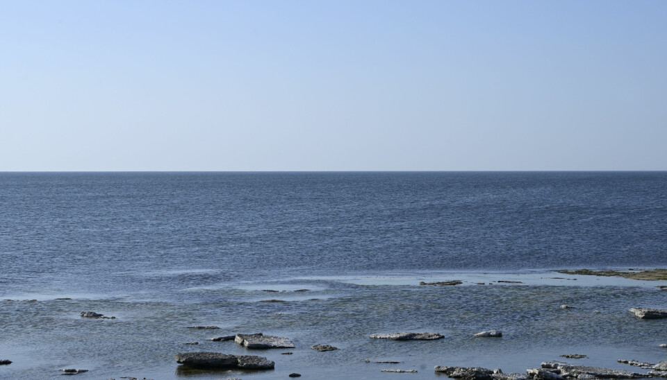 Ett stort blått hav, i förgrunden svarta stenar som sicker upp.