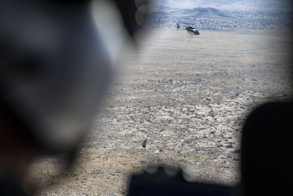 In this photo provided by NASA, the sample return capsule from NASA's Osiris-Rex mission is transported by helicopter after it landed at the Department of Defense's Utah Test and Training Range on Sunday, Sept. 24, 2023. The sample was collected from the asteroid Bennu in October 2020. (Keegan Barber/NASA via AP) NASA107 In this photo provided by NASA, the sample return capsule from NASA's Osiris-Rex mission is transported by helicopter after it landed at the Department of Defense's Utah Test and Training Range on Sunday, Sept. 24, 2023. The sample was collected from the asteroid Bennu in October 2020. (Keegan Barber/NASA via AP) NASA107
