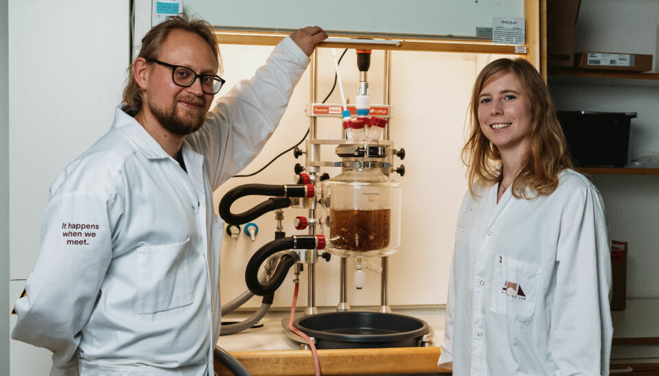 Reselos Thomas Baumgarten och Josefin Larsson förvandlar barksoppa till hållbart biogummi.