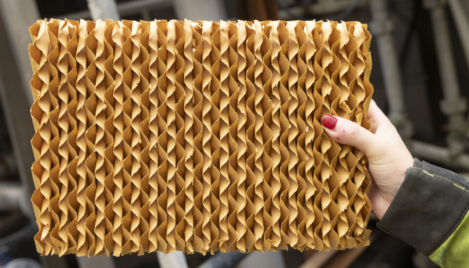 Vattnet rinner genom ett cellulosablock för att spridas över en större yta.