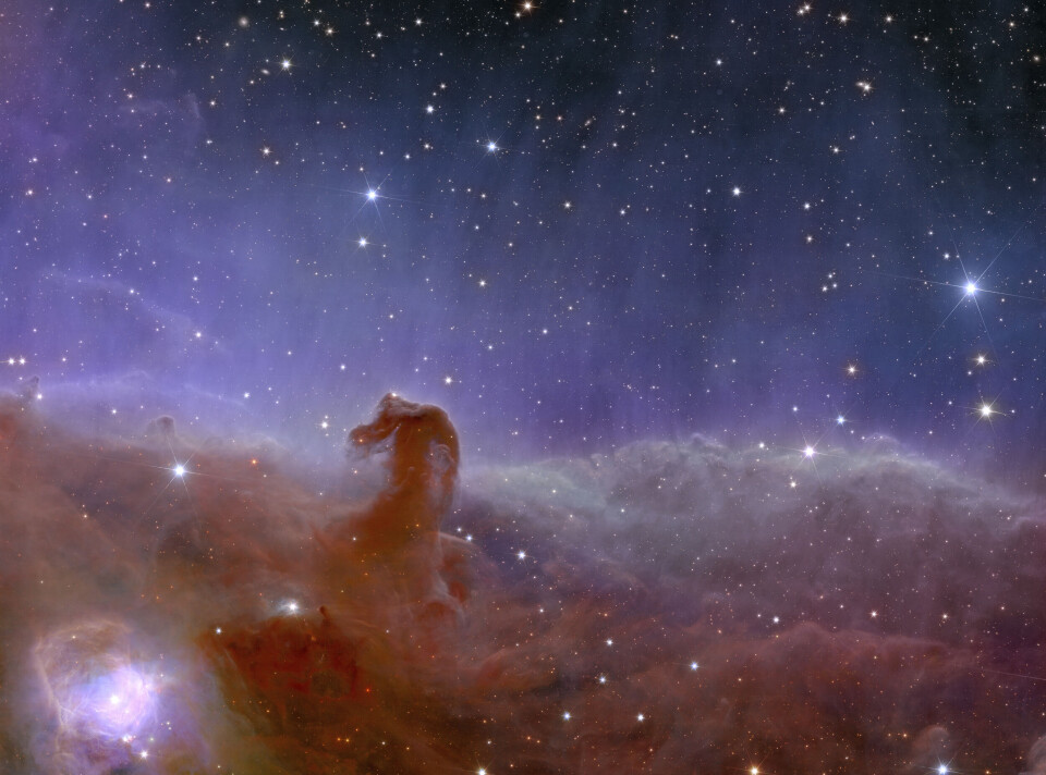 Euclids bild av Hästhuvudnebulosan. Euclids bild av Hästhuvudnebulosan.
