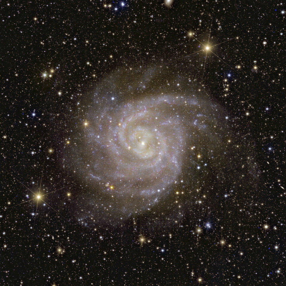 Spiralgalaxen IC 342.