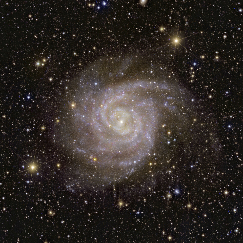 Spiralgalaxen IC 342. Spiralgalaxen IC 342.