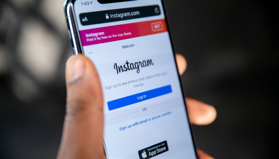 Här är allt du godkänner med gratis Instagram