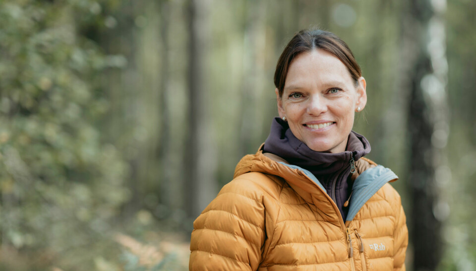 Catrin Gustavsson, Affärsområdeschef Södra Innovation.