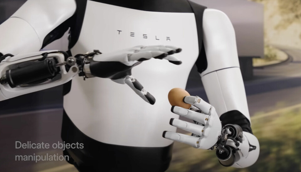 Optimus. Tesla. Robot.