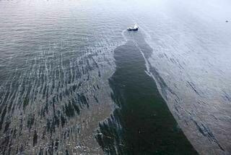 Saneringsfartygen kämpar i motvind för att hindra oljebältet att växa. Foto: Gerald Herbert/AP/Scanpix