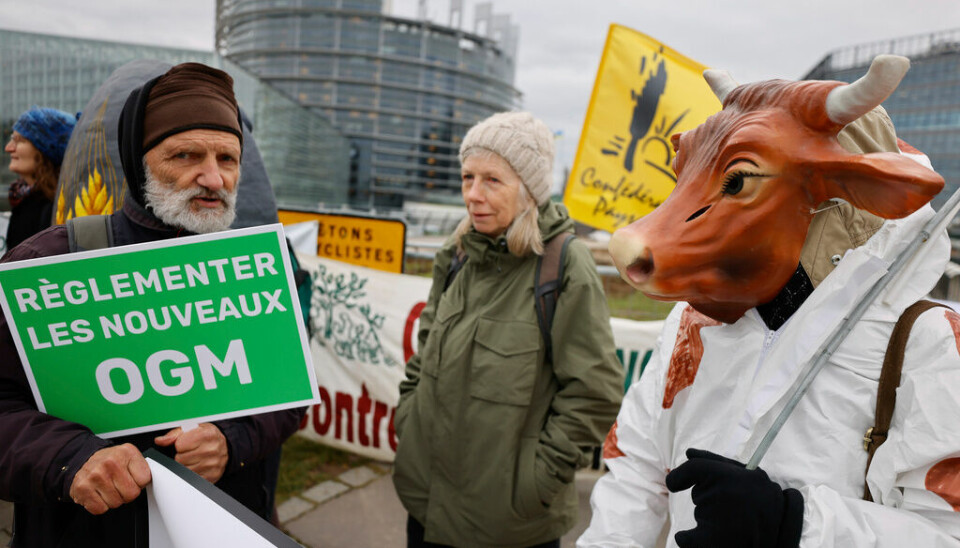 Demonstranter protesterar mot bland annat nya GMO-regler utanför EU-parlamentet i Strasbourg i tisdags.