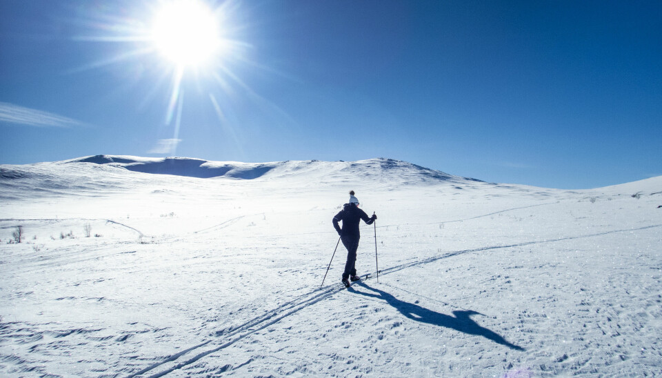 Ensam skidåkare i vinterlandskap