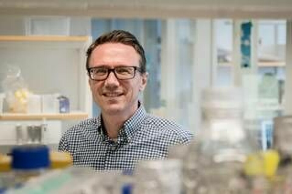 Jens Nielsen är professor i systembiologi vid Chalmers. Foto: Johan Bodell
