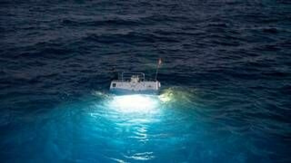 Ubåten Limiting Factor ska ha kostat över 300 miljoner att utveckla och bygga. Nu ska den utforska världshavens djupaste platser. Foto: The Five Deeps Expedition