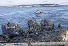 Stridsbåt 90 i grunda vatten och trånga passager