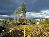 Uranium mining may be permitted again in Sweden