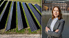”Sverige kan inte vänta på nya elnät – släpp fram solenergin”