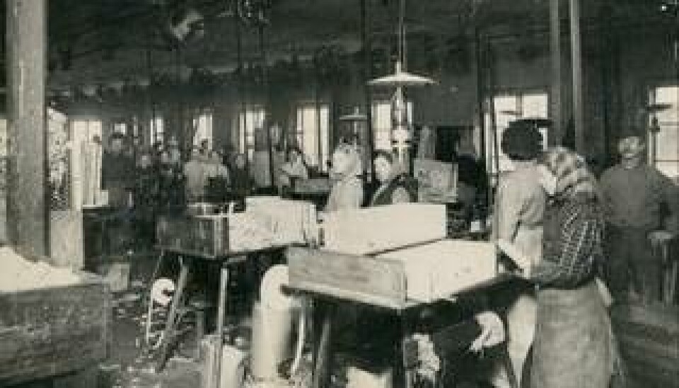 Tändstickstillverkningen var till en början ett hälsovådligt arbete, där de giftiga ångorna av vit fosfor gav många så kallad fosfornekros. Foto: JÖNKÖPINGS TÄNDSTICKSMUSEUM Tändstickstillverkningen var till en början ett hälsovådligt arbete, där de giftiga ångorna av vit fosfor gav många så kallad fosfornekros. Foto: JÖNKÖPINGS TÄNDSTICKSMUSEUM