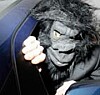 Släpp ratten och låt APAn parkera åt dig