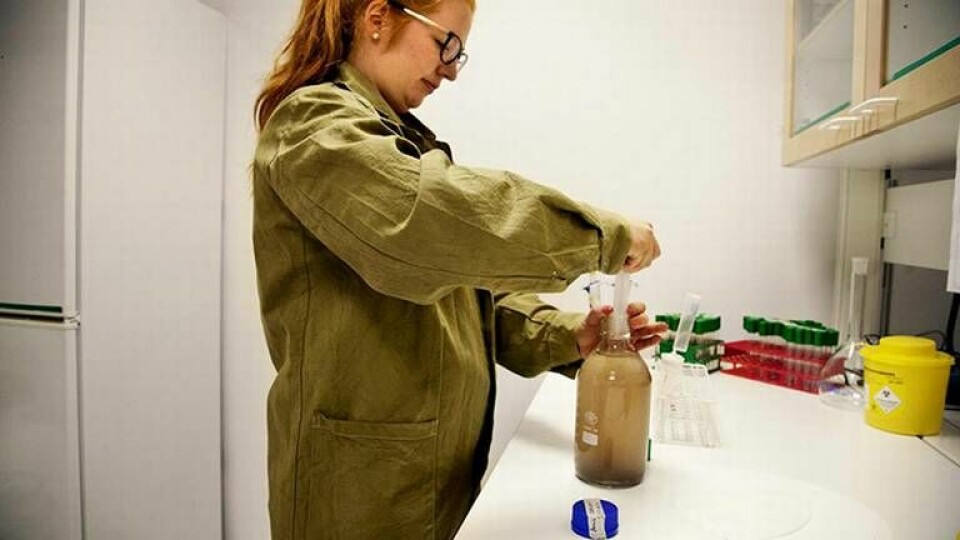 Anna Ottenhall på KTH:s skola för kemivetenskap har utvecklat en metod att rena vatten med ett filter av polymerbehandlat papper. Foto: Jörgen Appelgren