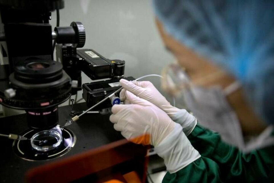 En forskare förbereder för injicering av embryon med Cas9-protein och PCSK9 sgRNA vid ett labb i kinesiska Shenzhen. Foto: AP Photo/Mark Schiefelbein, File