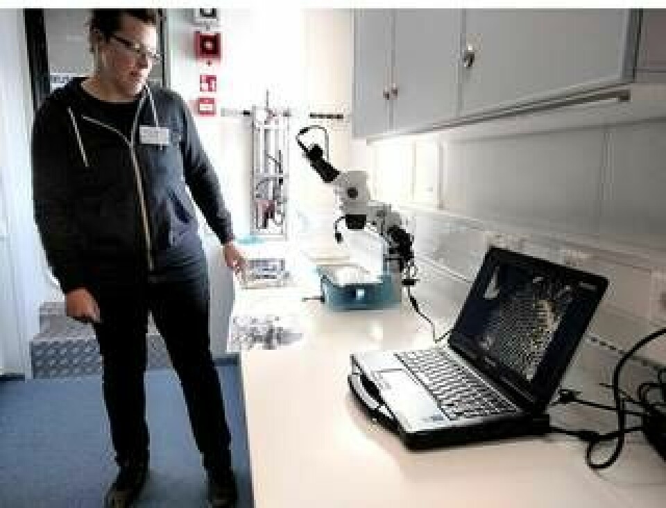 Ellen Schagerström är forskare på Stockholms universitet. På skärmen ser man en förstoring från mikroskopet av mossdjuret Electra, som har givit namn till fartyget. Foto: Anna Orring