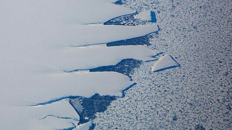 Arktivbild på iskanten som markerer starten området som är täcktav is i Antarktis. Foto: Tore Meek / NTB scanpix / TT