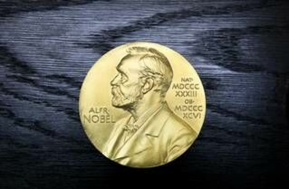 I dag tisdag delas året Nobelpris i fysik ut. Foto: Lars Pehrson / SvD / TT