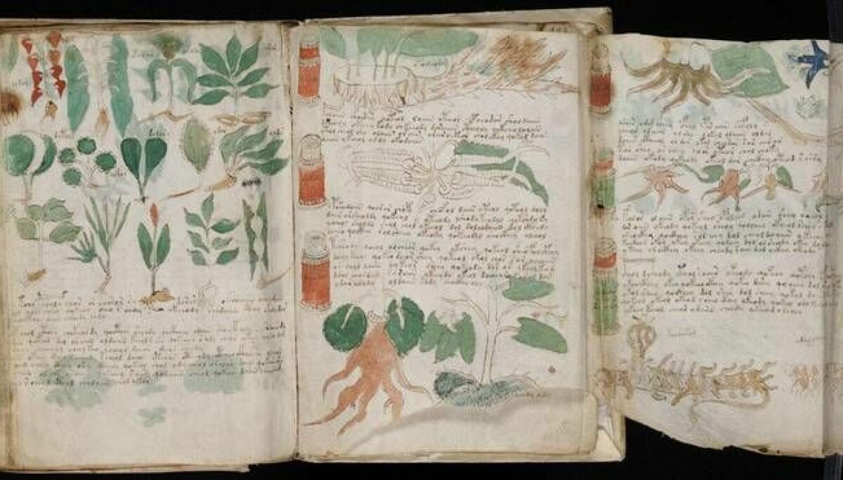 Olomon erkaklar osiyolik ayolni qopol sikishdi Erotik onlayn video striptiz