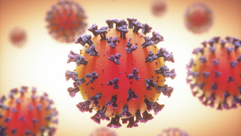 En illustration av ett coronavirus. Foto: Science Photo Library