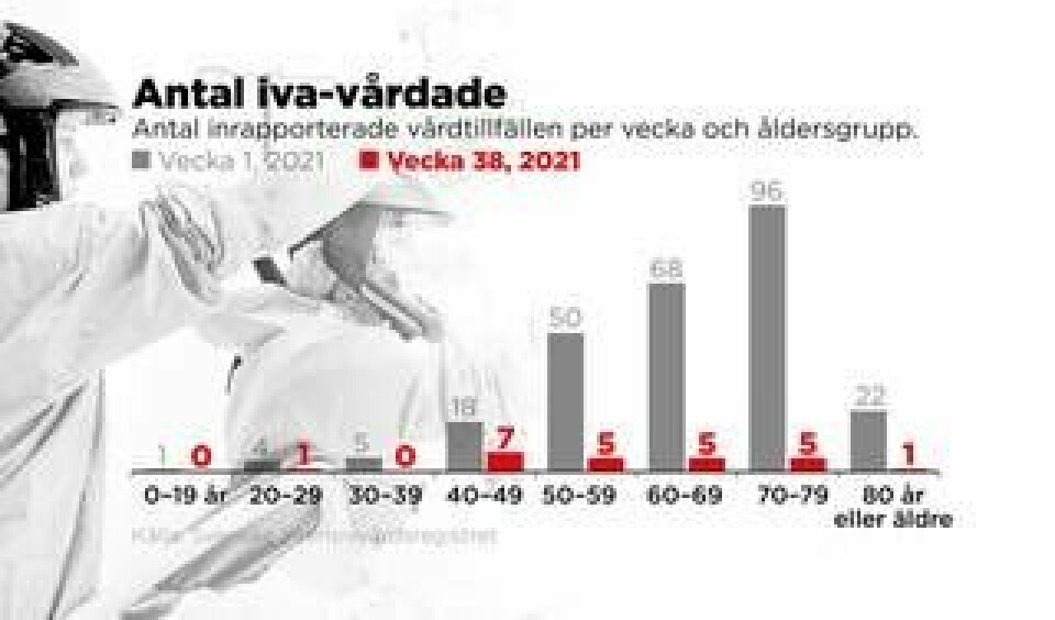 Antal inrapporterade vårdtillfällen per vecka och åldersgrupp. Foto: Johan Hallnäs