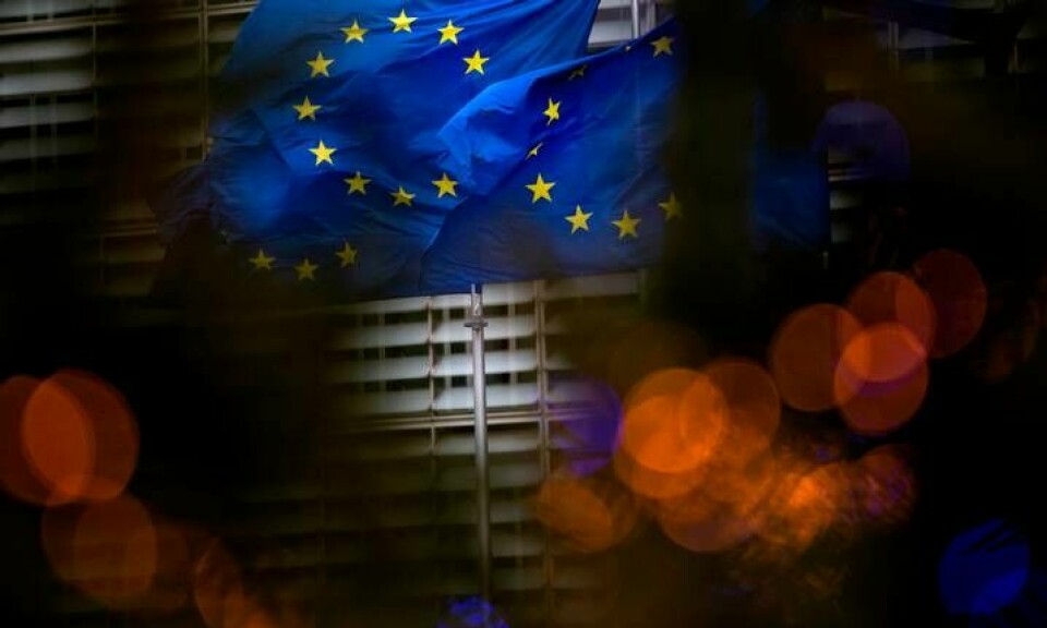 EU-flaggor i Bryssel. Foto: Virginia Mayo