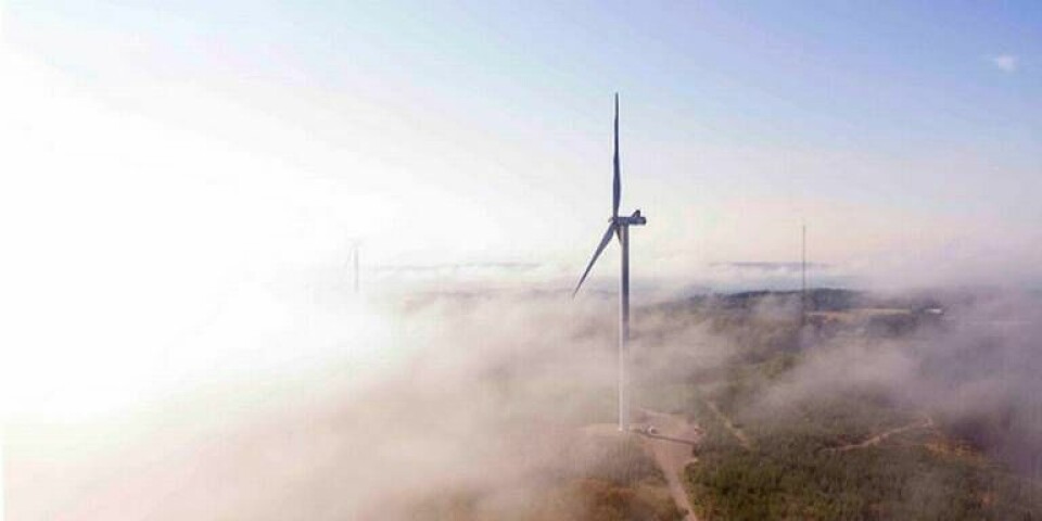 Google betalar ett fast elpris under tio års tid för elen från de nya snurrorna i Alered i Falkenberg. Sådana avtal kan göra det lättare att få lönsamhet i nya vindkraftsprojekt. Foto: Daniel Larsson