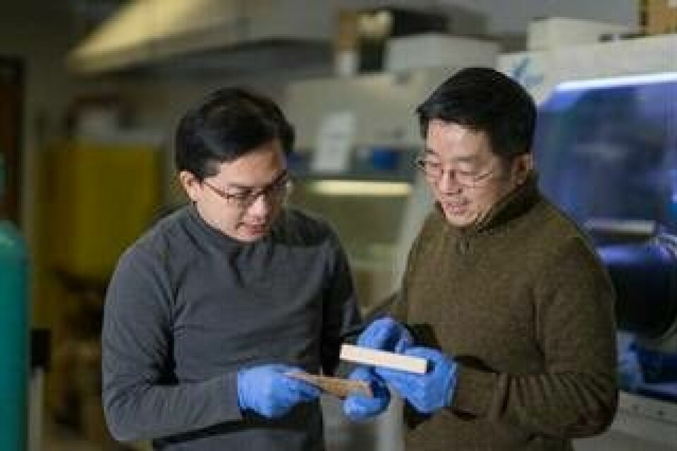 Liangbing Hu och Teng Li, forskare vid University of Maryland. Foto: University of Maryland