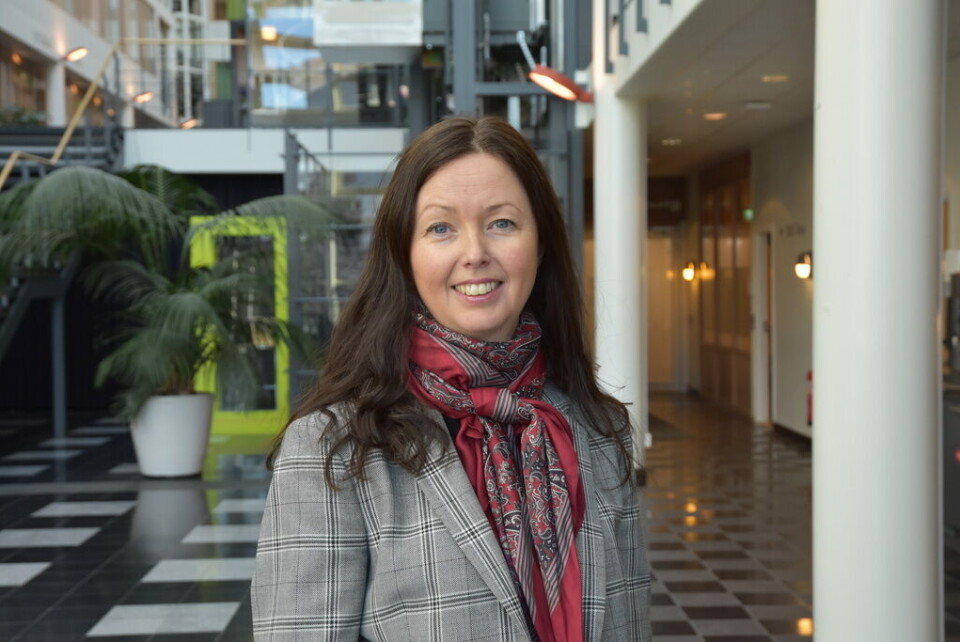 Marie Hagberg Backlund, avdelningschef på Transportverket. Foto: Trafikverket/TT Marie Hagberg Backlund, avdelningschef på Transportverket. Foto: Trafikverket/TT