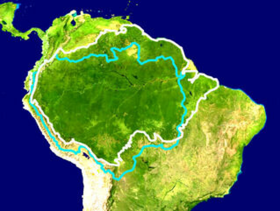 Redan i dag kommer 3,5 procent av jordens metanutsläpp från träden i Amazonas, och forskarna tror att mängden av växthusgasen kommer att öka. Foto: Aymatth2