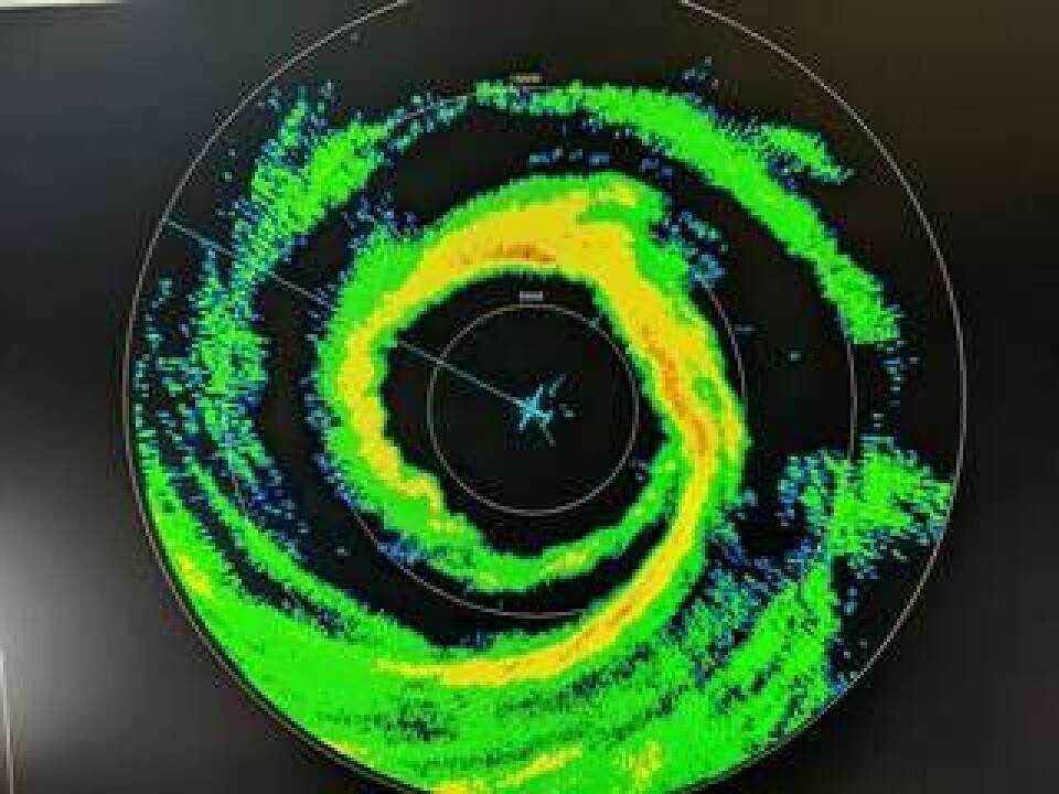 Radarbild visar hur NOAA:s WP-3D Orion-plan är mitt i orkanens öga. Foto: NOAA