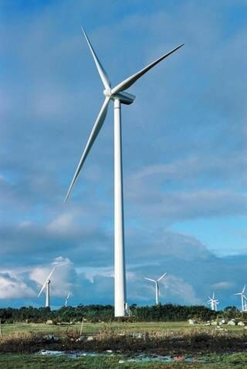 Gotland har i dagsläget 185 MW förnybar installerad kraft. Bilden är från Näsuddens vindkraftpark. Foto: Hans Blomberg