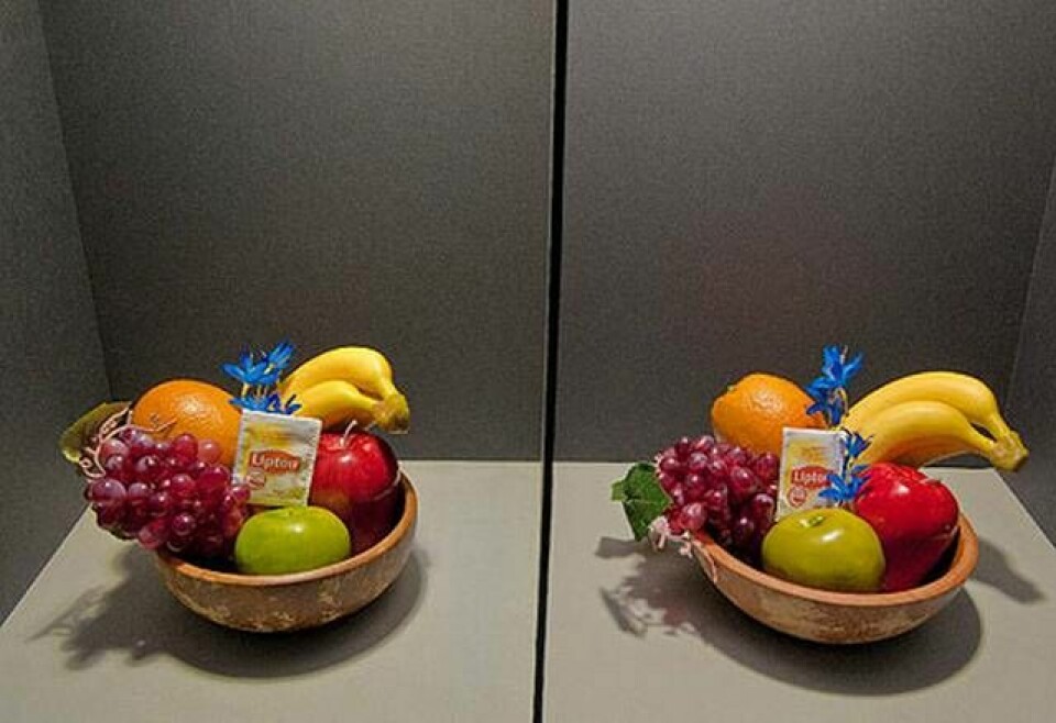 Vilken fruktkorg ser mest tilltalande ut? Till vänster lyser laserdioder, till höger vanliga glödlampor. Foto: Randy Montoya