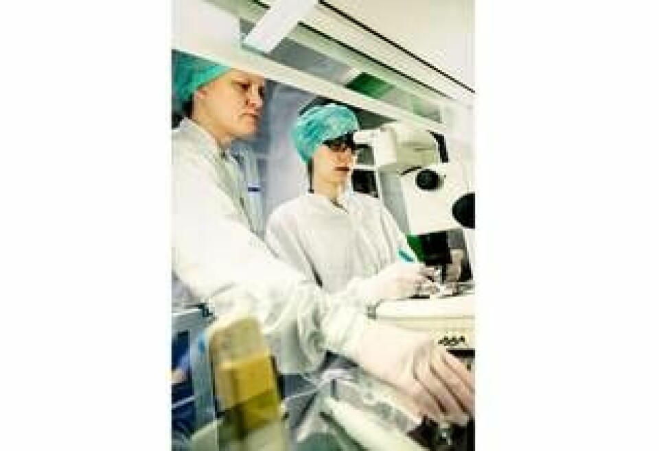 I renrummet på Karolinska i Huddinge arbetar Liselotte Antonsson och Sonya Stenfelt med att få de säkra stamcellerna att utvecklas till samma celler som finns i näthinnans pigmentepitel. Det är de som bryts ner vid åldersförändringar i gula fläcken. Genom att injicera dem i ögat hoppas forskarna kunna behandla sjukdomen. Foto: Jörgen Hildebrandt