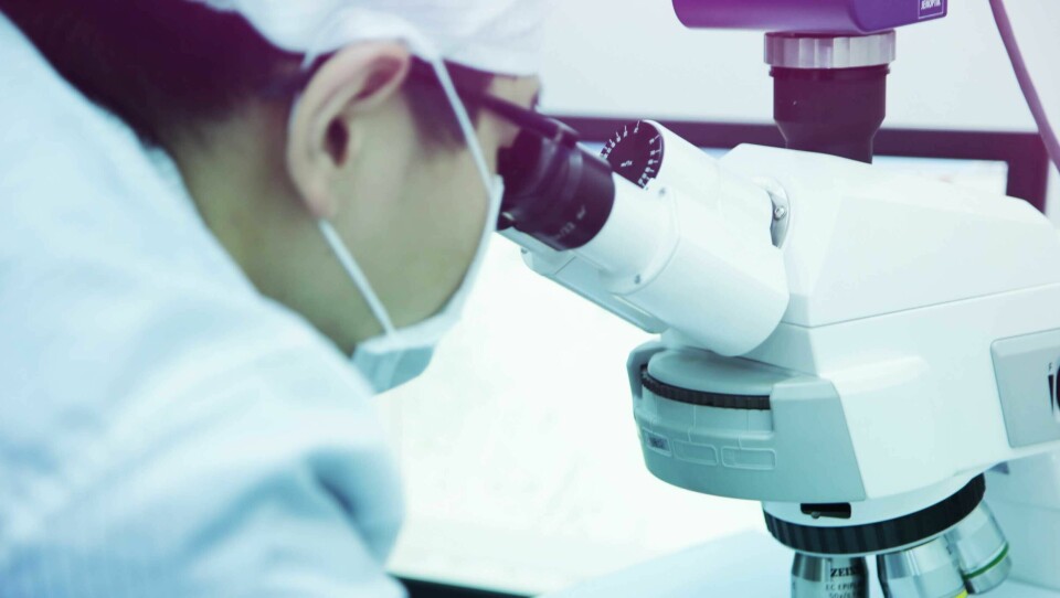 Kinesiska Longi tänker öppna ett nytt laboratorium med fokus på att ta bolagets solpaneler ut i rymden. Foto: Longi Kinesiska Longi tänker öppna ett nytt laboratorium med fokus på att ta bolagets solpaneler ut i rymden. Foto: Longi