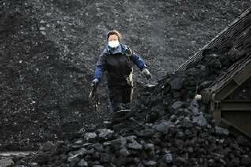 En arbetare sorterar kol vid en kolgruva i Huabei i Kina. Arkivbild. Foto: AP/TT