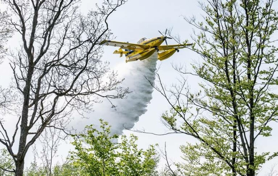 En Air Tractor AT-802 Fire Boss vattenbombar skogen på Rosenholms övningsfält utanför Karlskrona. Foto: Johan Nilsson/TT En Air Tractor AT-802 Fire Boss vattenbombar skogen på Rosenholms övningsfält utanför Karlskrona. Foto: Johan Nilsson/TT