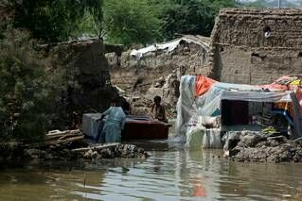 I provinsen Sindh i Pakistan försöker människor samla ihop sina ägodelar efter att översvämningar lagt stora områden under vatten. Bilden är från slutet av augusti. Foto: Fareed Khan/AP/TT