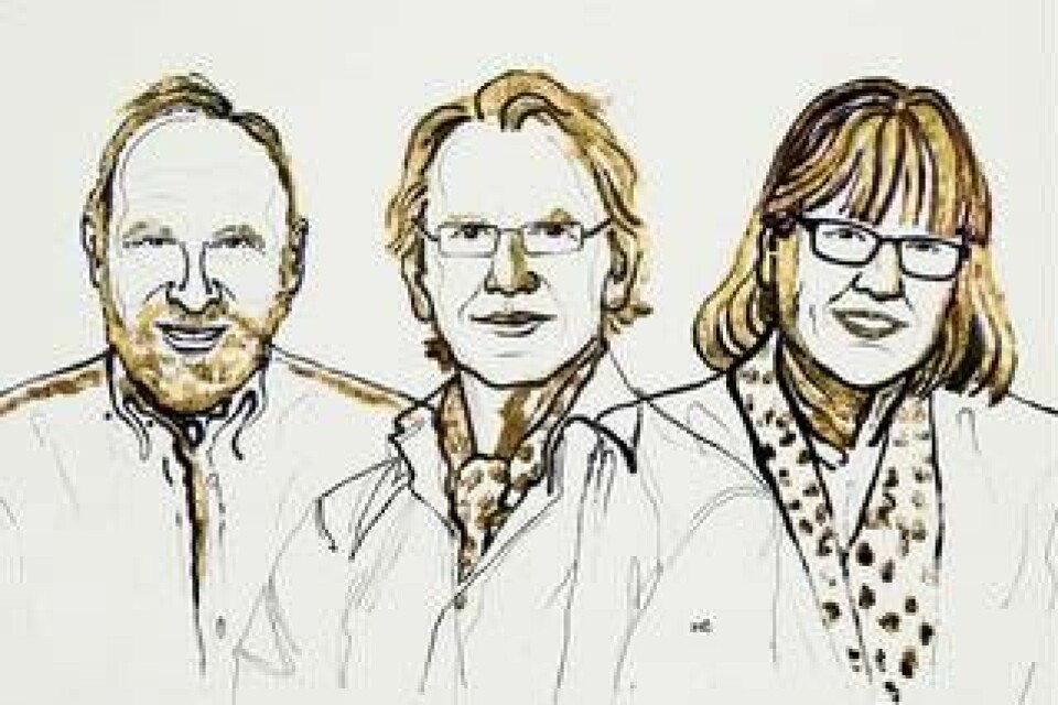 Arthur Ashkin, Gérard Mourou, Donna Strickland. 2018 års Nobelpristagare i fysik. Foto: Illustration Niklas Elmehed/Nobel Media