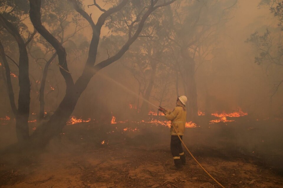 Bränderna i Australien har pågått ovanligt länge. Här är en bild från den 10 december norr om Braidwood i New South Wales. Foto: Mike Bowers/TT Bränderna i Australien har pågått ovanligt länge. Här är en bild från den 10 december norr om Braidwood i New South Wales. Foto: Mike Bowers/TT