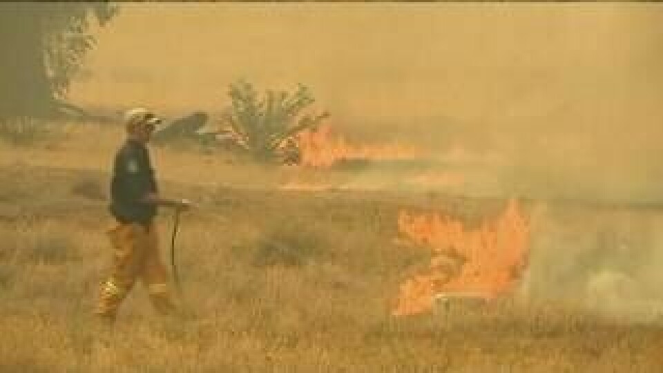 Här bekämpar en brandman elden i Lithgow, New South Wales. Foto: Australian Broadcasting Corporation/TT