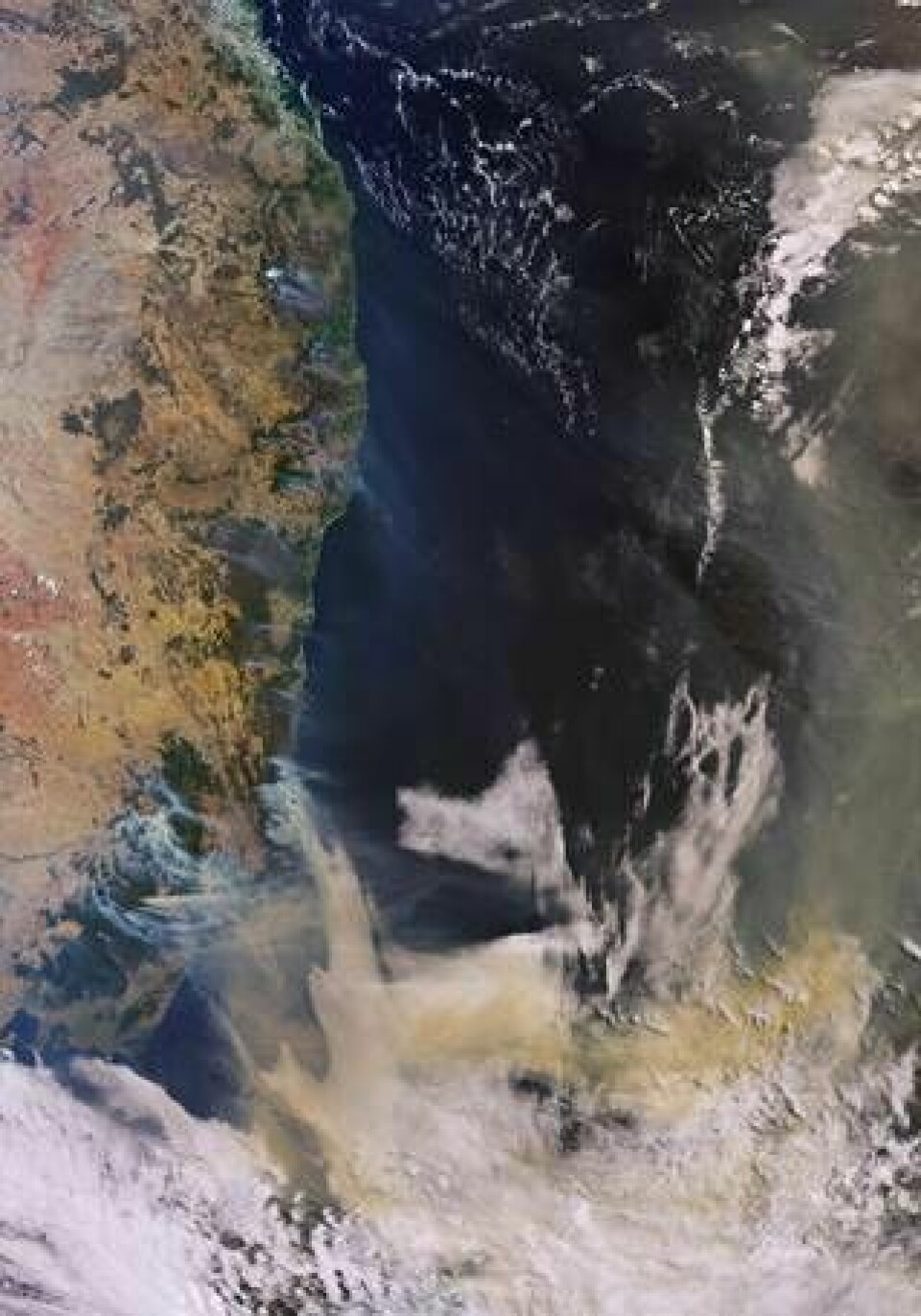 Röken från bränderna syns från rymden. Den här bilden togs av satelliten Copernicus Sentinel-3 den 3 januari. Foto: ESA/eyevine/TT