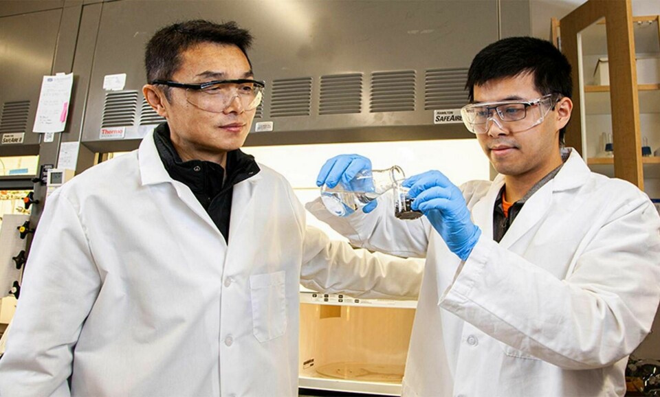 Professor Gang Chen och forskningsassistent Runwei Li arbetar med att skilja tungmetaller från avföring i Tallahassee. Foto: FAMU-FSU College of Engineering