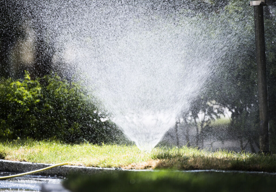 Förbud mot bevattning av gräsmattor är en av de första åtgärderna om en kommun hotas av vattenbrist i ledningssystemet. Arkivbild. Foto: Fredrik Sandberg/TT Förbud mot bevattning av gräsmattor är en av de första åtgärderna om en kommun hotas av vattenbrist i ledningssystemet. Arkivbild. Foto: Fredrik Sandberg/TT