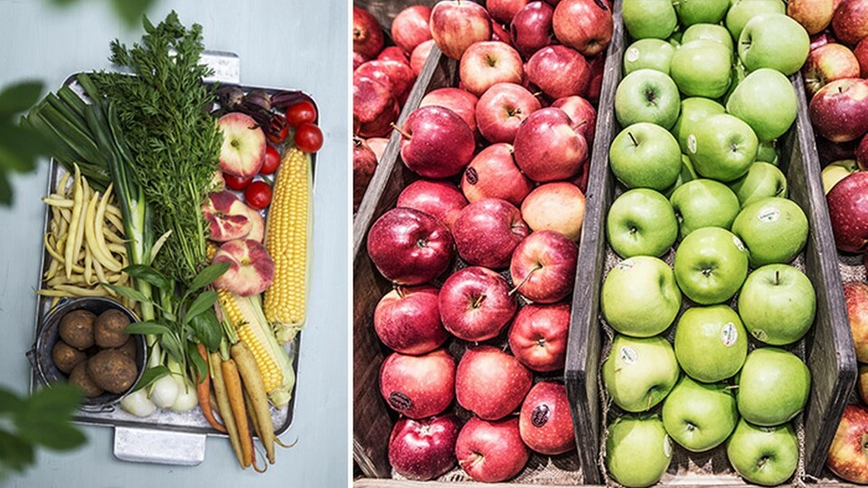 Halvera mängden rött kött och få dina kolhydrater från fullkorn eller rotfrukter. Det är vad som krävs för att rädda planeten enligt rapporten. Foto: TT Halvera mängden rött kött och få dina kolhydrater från fullkorn eller rotfrukter. Det är vad som krävs för att rädda planeten enligt rapporten. Foto: TT